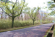 S001