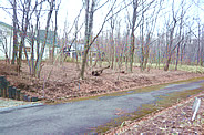 v015